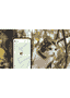 GPS Tracker für Katzen
