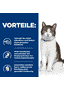 Feline Gastrointestinal Biome Stress