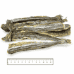 Dog Blue Whiting