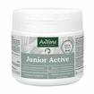 Junior Active