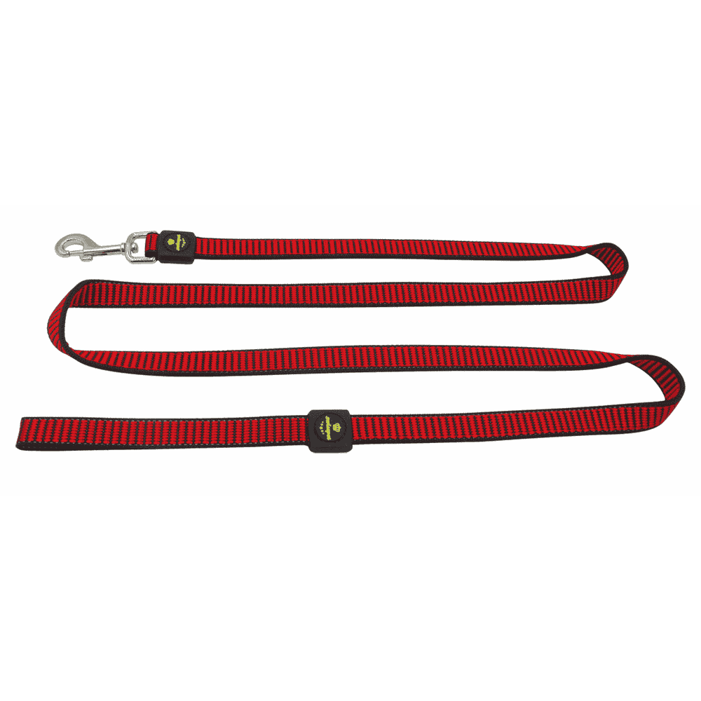 swisspet Citydog leashes, red