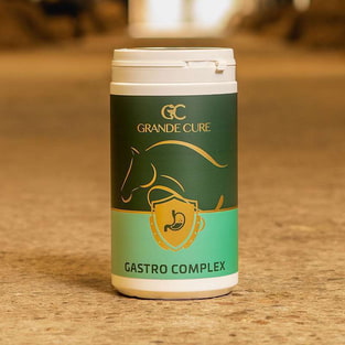 Gastro Complex
