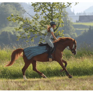 Riding fly rug Summer Stroll - green