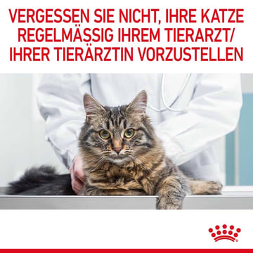 Hairball Care Jelly - Frischebeutel