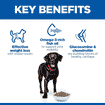 Canine Perfect Weight + Active Mobility Large Breed