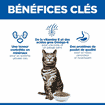 Feline Urinary Health
