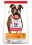 Canine Adult Medium Light