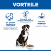Canine Senior Vitality 6+ Large Breed