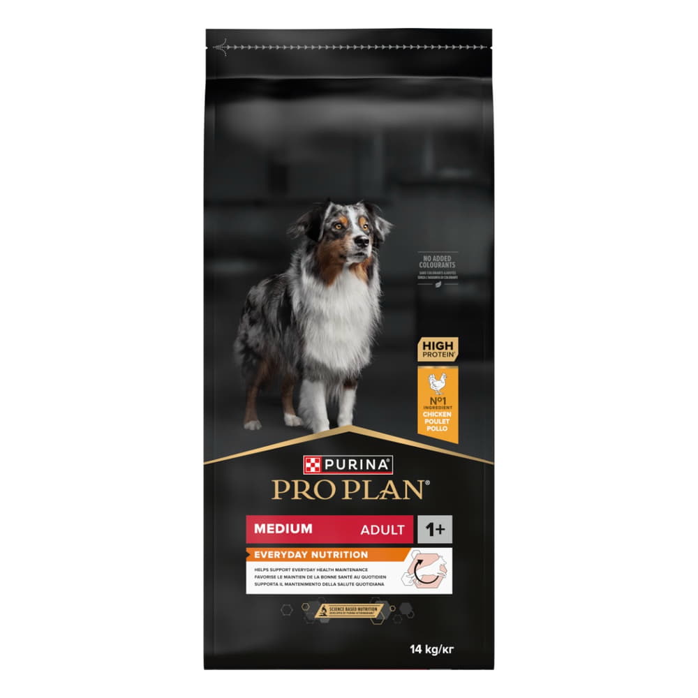 MEDIUM ADULT Everyday Nutrition