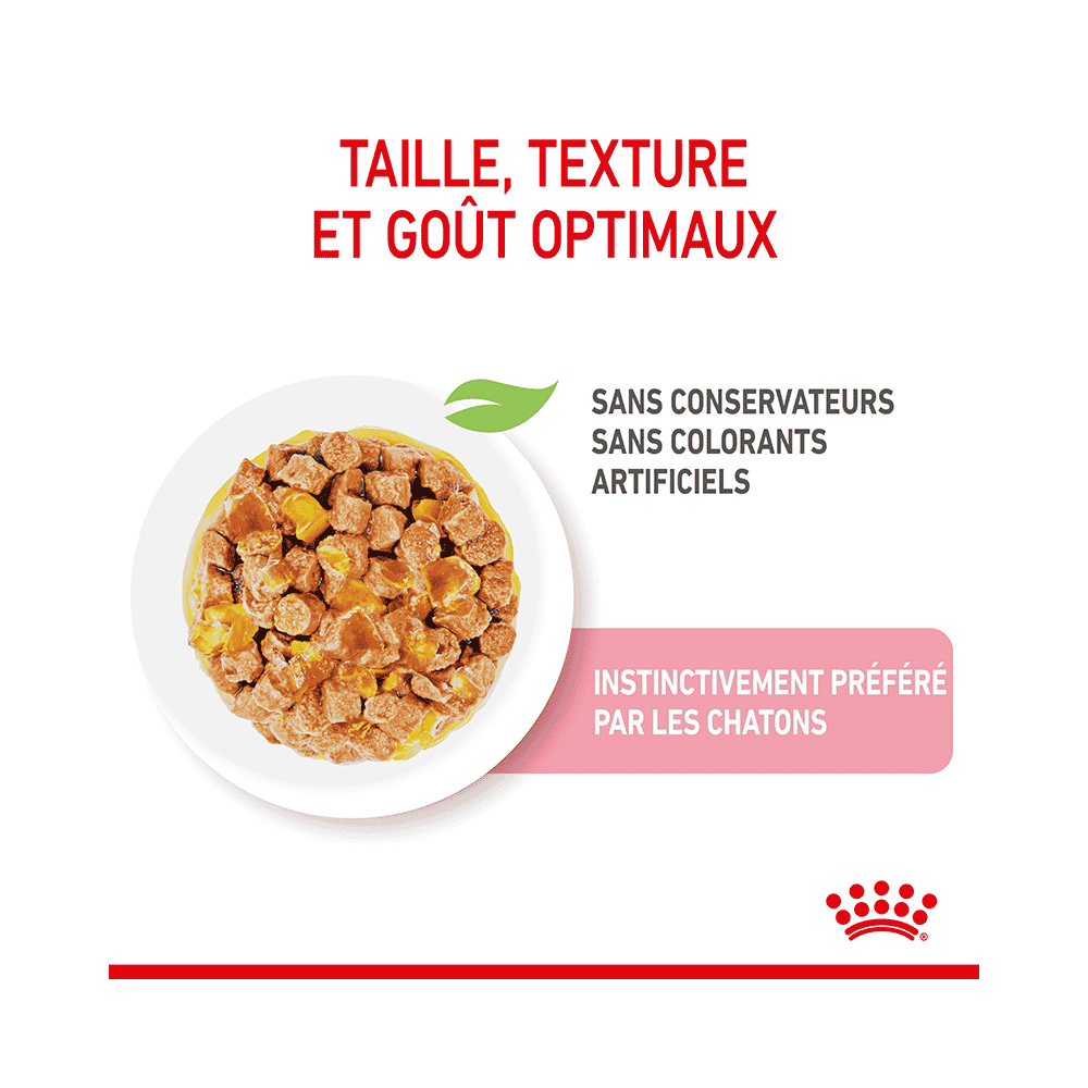Kitten en gelée - sachet