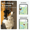 DOG 6 Tracker