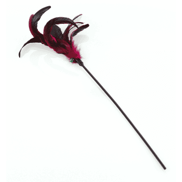 Feather duster Purplegame