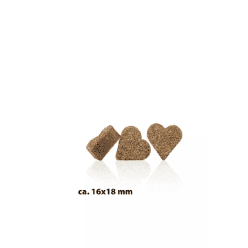 Soft Snack France