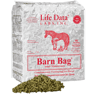 Barn Bag Adult Maintenance