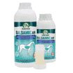 Balsamic Air