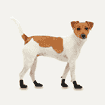 Dog Boots Hundeschuhe Lites Black