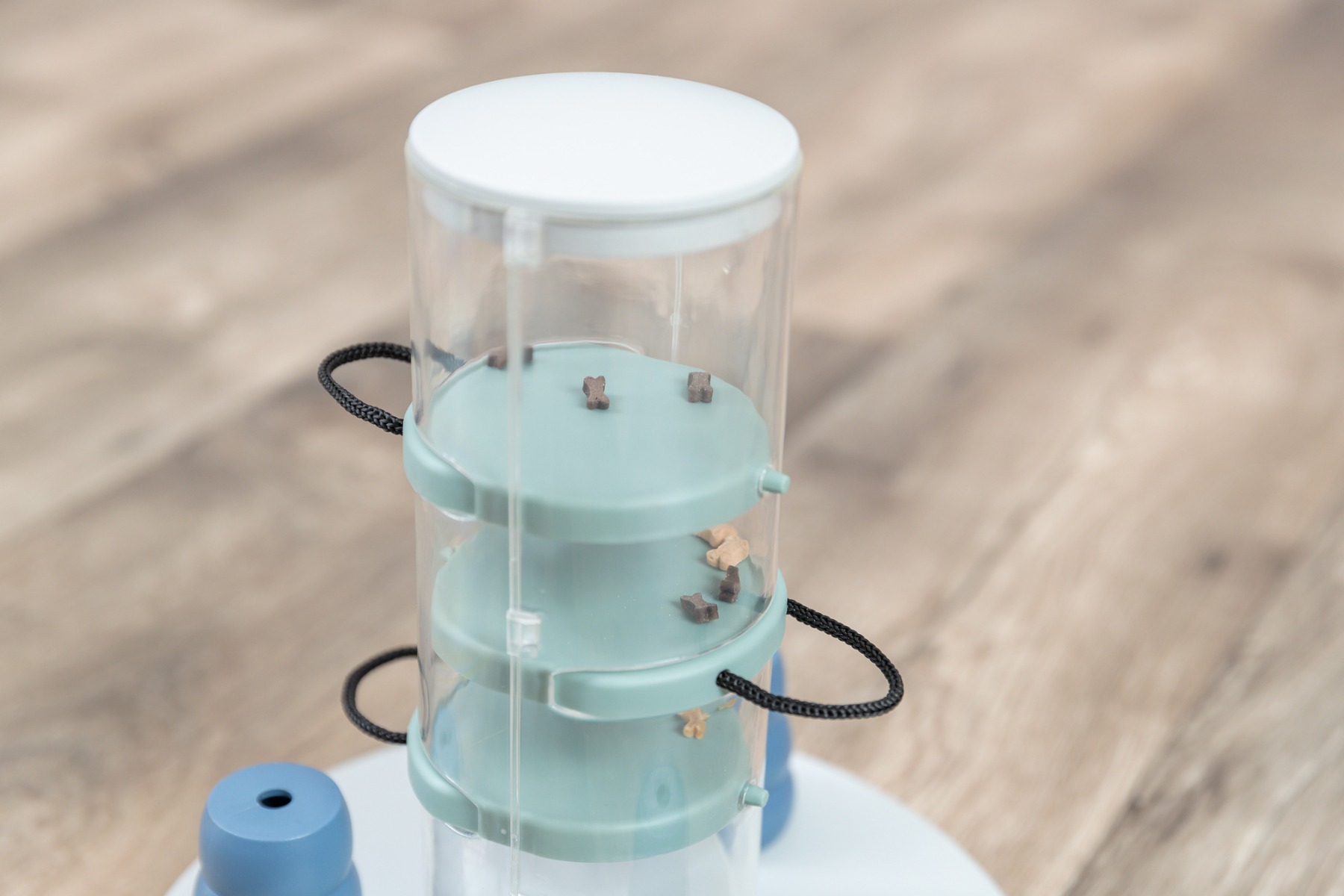 Dog Activity Gambling Tower