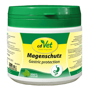 Protection Gastrique