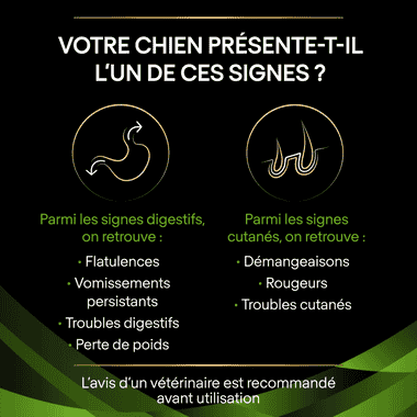 Purina ha sale hypoallergenic chien