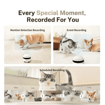 ROLA Mini Companion Robot