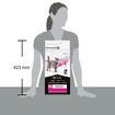FELINE UR St/Ox Urinary