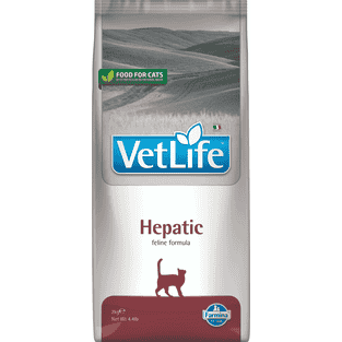 Feline Hepatic