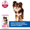 Canine Adult Light Small & Mini Breed