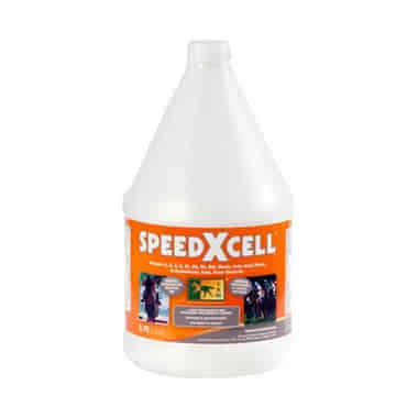 SpeedXcell