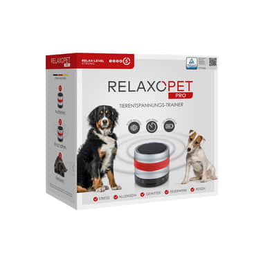 PRO Entraîneur de détente pour chiens