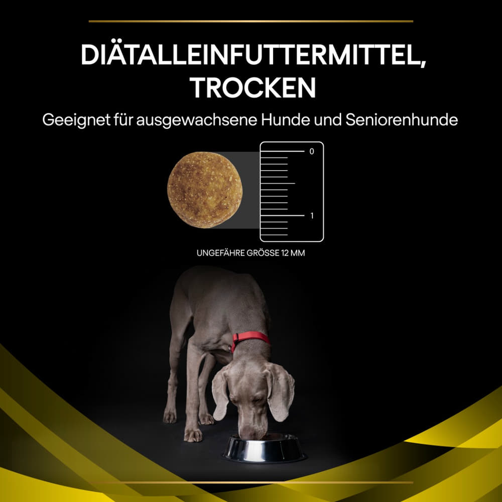 CANINE NC NeuroCare