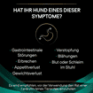 CANINE EN Gastrointestinal
