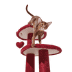 Kratzbaum Heartpurrouge