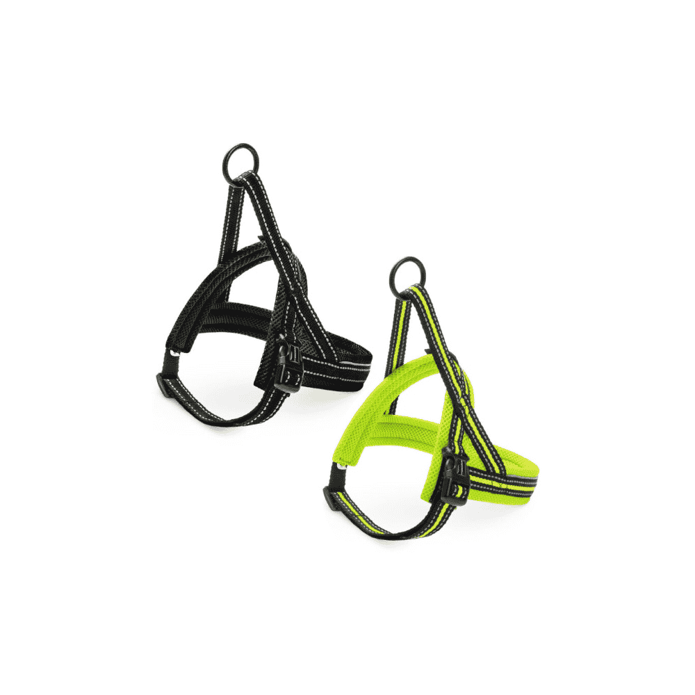 Geschirr Nordic Sport L