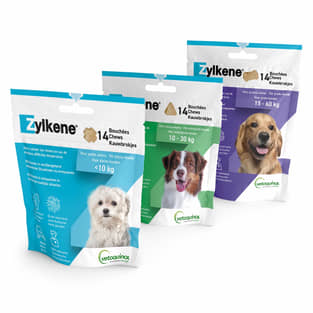 Zylkène Chews