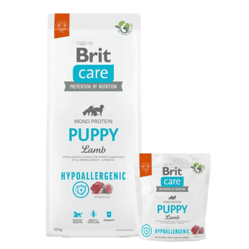 Care Dog Puppy - Lamb - Hypoallergenic