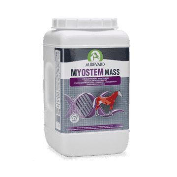 Myostem Mass