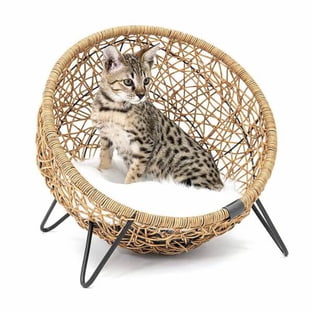 Cat chair Amsterdam 47