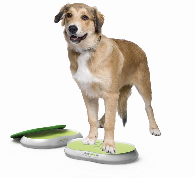 PawCare Container Large, 380 g