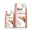 Vet Diet - Dog Renal