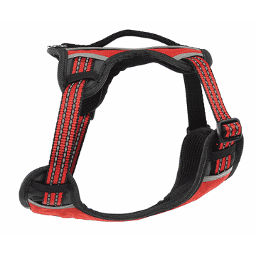 Bruce harness, red M