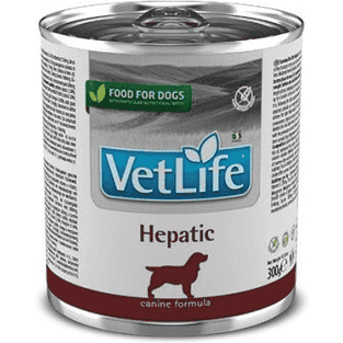 Canine Adult Hépatique