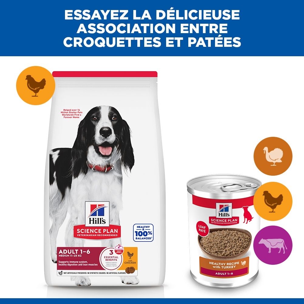 Canine Adult Turkey - Boîte