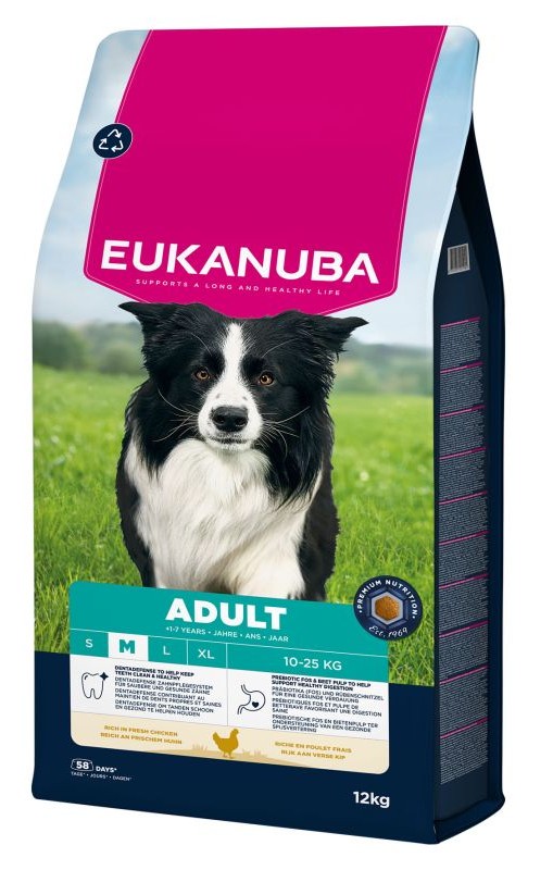 Active Adult Medium Breed