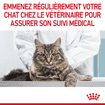 Urinary Care Cat
