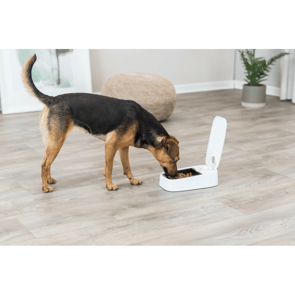 Distributeur automatique de nourriture TX1