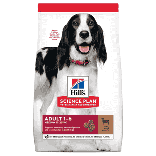 Canine Adult Medium Breed Lamb & Rice