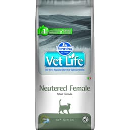 Feline Neutered Female