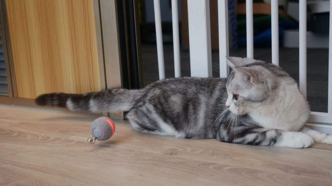 Ball M1