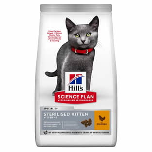 Kitten Sterilised