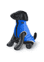 Manteau pour chien Pufferskin bleu